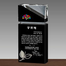 상패218