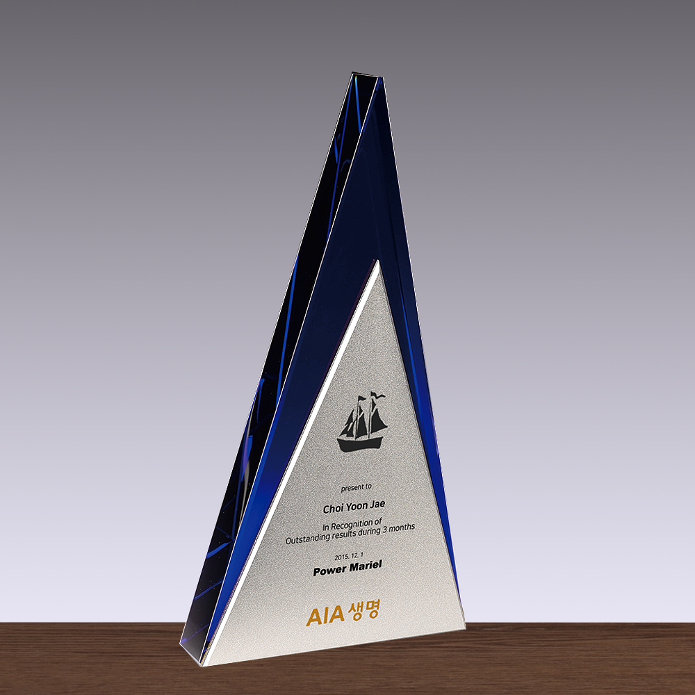 상패263