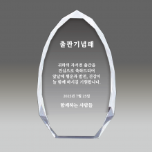 상패284