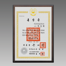상패295