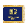 남색비로드 황색수술4