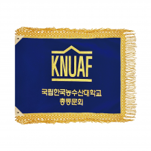 남색비로드 황색수술4