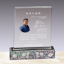 상패519